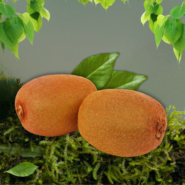 Kiwi - Image 2