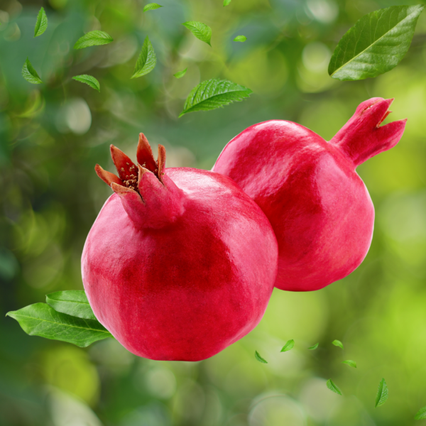 Pomegranate - Image 2