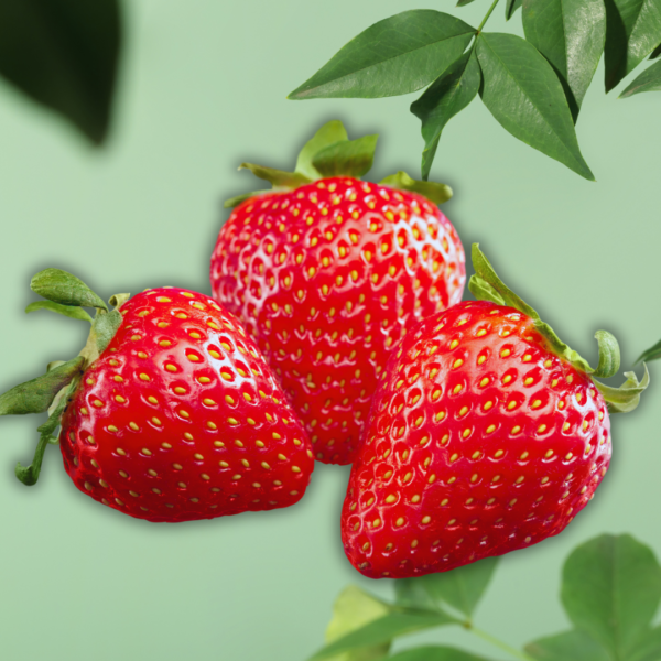 Strawberry - Image 4
